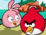 Angry Birds Süper Kahraman Oyunu Oyna