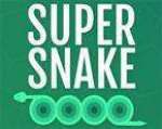 Super Snake Oyunu Oyna